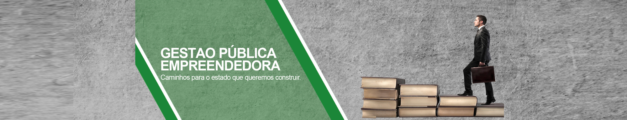 Gestão Pública Empreendedora