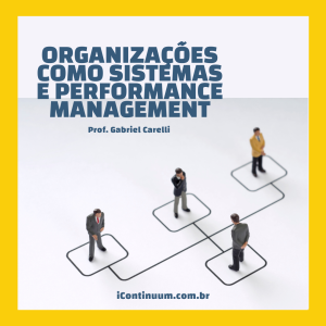 Organizações como Sistemas e Performance Management