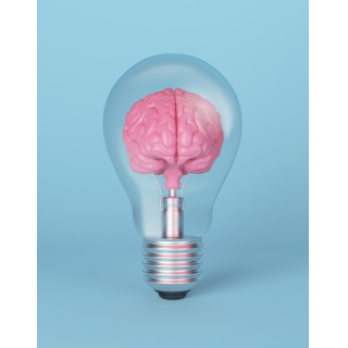 Pós Graduação em Neurociências e Comportamento